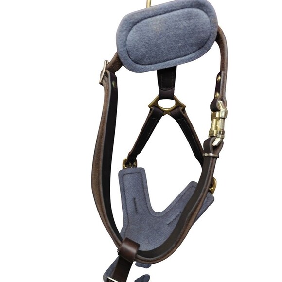 ForDogTrainers FDT H10 XL Leather Agitation Harness Brass Quick-Release Ret $170 - Picture 6 of 12